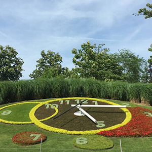 花坛建筑钟 花坛建筑钟